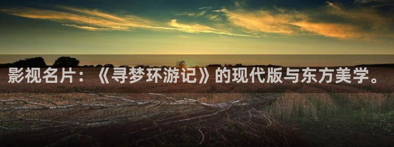 1997年的迷宫完整版在线观看：影视名片：《寻梦环游记》的现代版与东方美学。