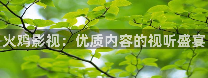 97精东影业人妻：火鸡影视：优质内容的视听盛宴